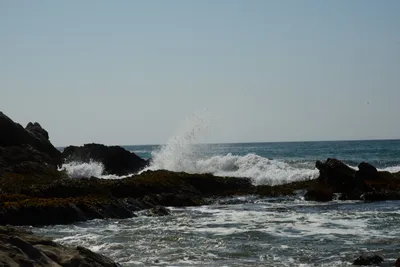 DSC_2565 (Large).JPG